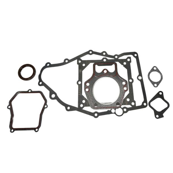 Replacement Gasket Set - LF1000