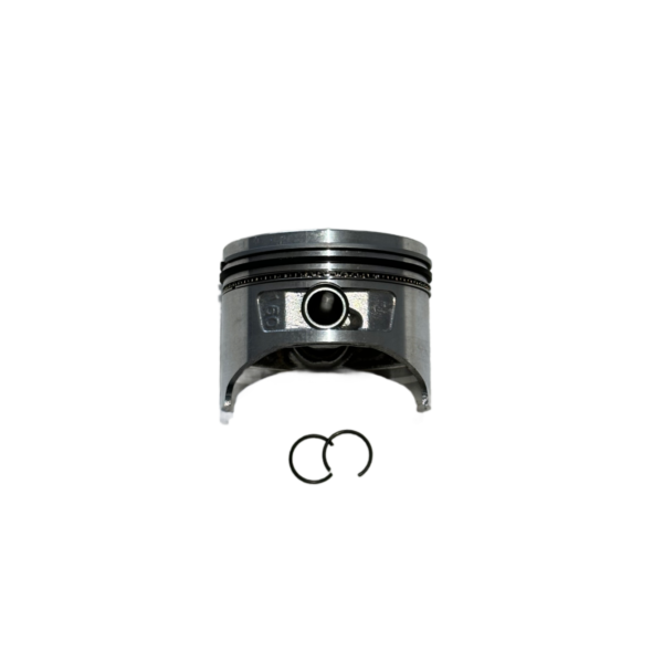 Replacement Piston Kit - LF120